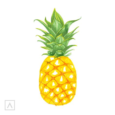 8 Simple Steps For a Pineapple Drawing | ARTEZA