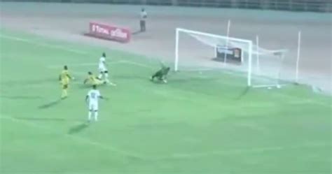 Naby Keita goal video: Liverpool star scores for Guinea