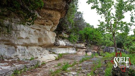 Texas Best Ranches | Giant Cypress Trees 100± Bandera County