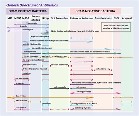 ยาปฏิชีวนะ 😍 รู้เขารู้เรา... - Infectious ง่ายนิดเดียว