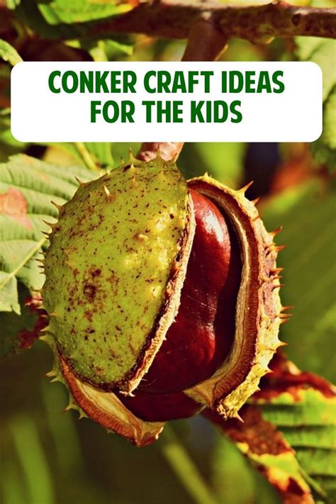 Conker Craft Ideas | Conkers craft