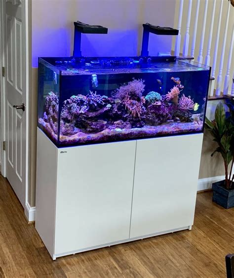 Red Sea Reefer Delux 350 (lights Included) | Aquariums for sale, Fish tank, Cool fish tanks