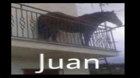 Juan meme. Juan Horse meme. Juan memes compilation. - YouTube