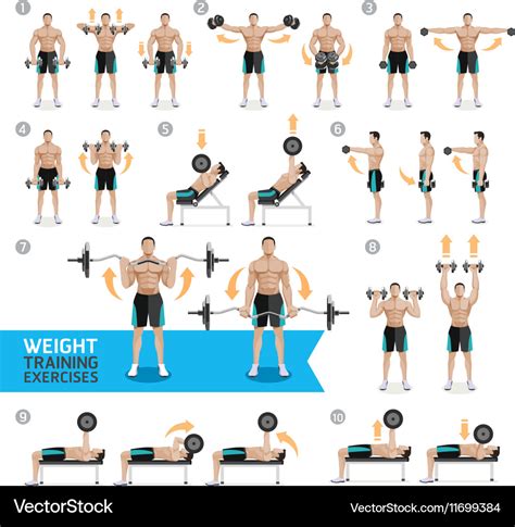 Dumbbell Exercises And Workouts Weight Training Vector Illustration | Hot Sex Picture