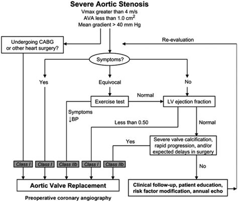 Treatment Options in Severe Aortic Stenosis | Circulation