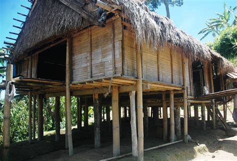 Tboli house | Philippine architecture, Filipino architecture, Vernacular architecture