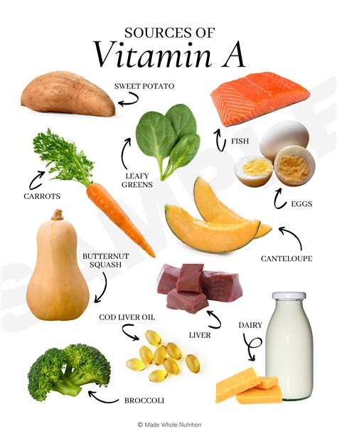 Sources of Vitamin A — Customizable Nutrition Education Materials ...