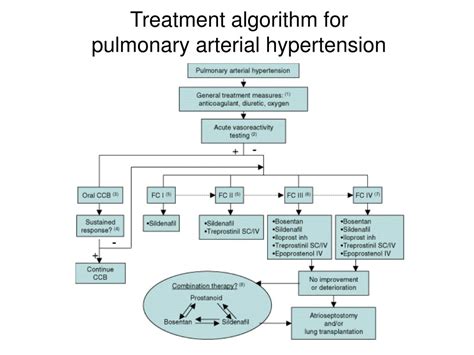 PPT - Pulmonary Arterial Hypertension PowerPoint Presentation, free ...