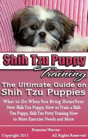 Shih Tzu Puppy Training: The Ultimate Guide on Shih Tzu Puppies, What ...