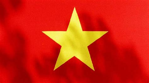 Vietnam protest over council flag request | Daily Telegraph