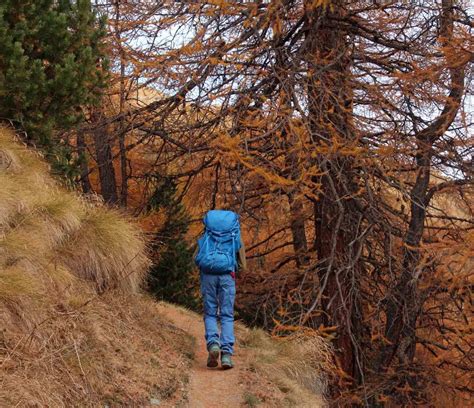 Swiss Hiking Trails | Footwearly