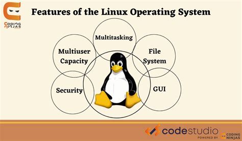 Features of Linux Operating System - Coding Ninjas