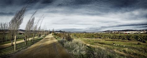 Gallery of Environmental Recovery of the Llobregat River / Batlleiroig - 17