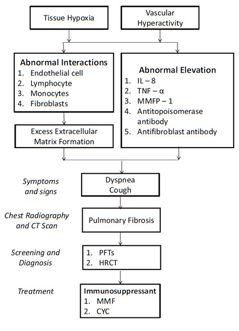 Cureus | Systemic Sclerosis: Highlighting Respiratory Complications and Significance of Early ...