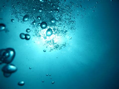 100 WATER BUBBLES TRANSPARENT PNG Photoshop Overlays, Backdrops By Digital Media Design ...