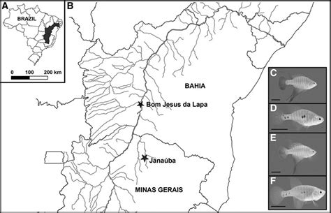 Map of Brazil, highlighting the São Francisco River basin (A) and... | Download Scientific Diagram