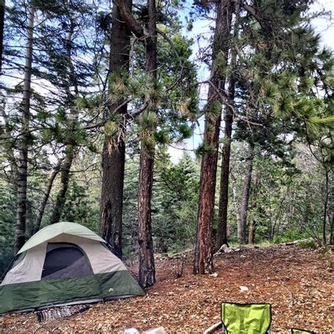 Dogwood Camping | The Dyrt