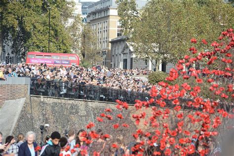 Tower of London poppies: Queue chaos as tens of thousands turn up to see poppy display | London ...