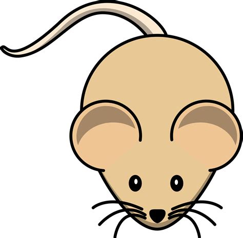 Zodiac Clipart Rat - Clip Art Gerbil Transparent PNG - 750x545 - Clip ...