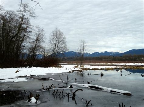 Burnaby Lake Regional Park - Burnaby, British Columbia, Ca… | Flickr