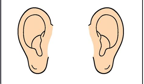 Listening Ear Clipart | Free download on ClipArtMag