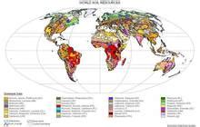 Soil Maps and Databases | FAO SOILS PORTAL | Food and Agriculture Organization of the United Nations