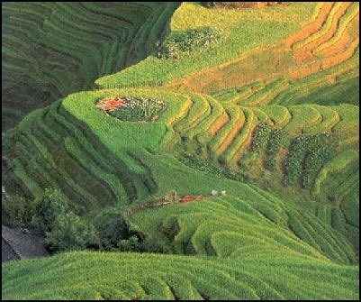 AGRICULTURE IN CHINA: CHALLENGES, SHORTAGES, IMPORTS AND AND ORGANIC ...