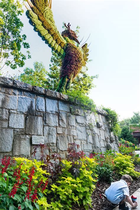 Take A Photo Tour of the Incredible "Imaginary Worlds" | Atlanta Botanical Garden - Jen ...