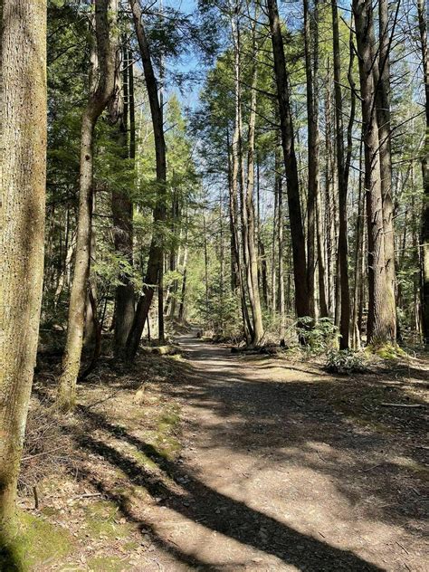 Photos of Endless Wall Trail - West Virginia | AllTrails