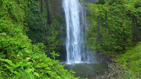 Majestic Lush Tropical Jungle Waterfall In Hawaii Stock Footage Video 5386214 - Shutterstock