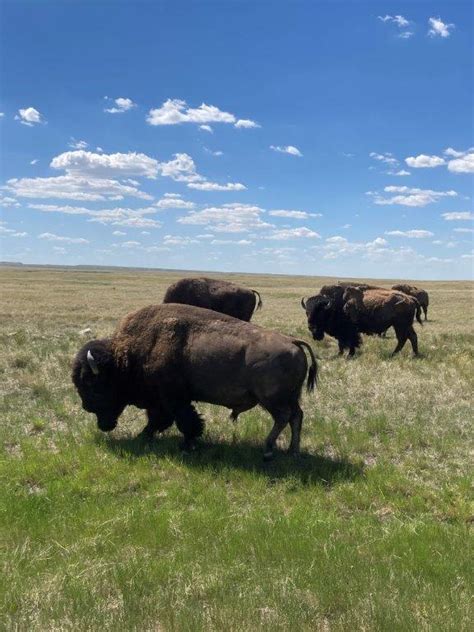 Grasslands National Park: Big Sky Hiking, Camping and Wildlife | Routinely Nomadic