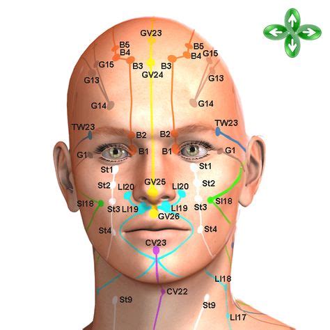 Image result for meridians on face | Acupuncture points, Acupuncture, Acupressure points