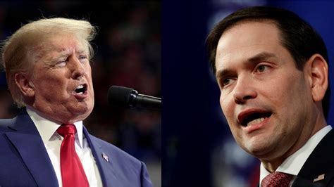 Trump to host rally for Rubio in Miami days before election | wtsp.com