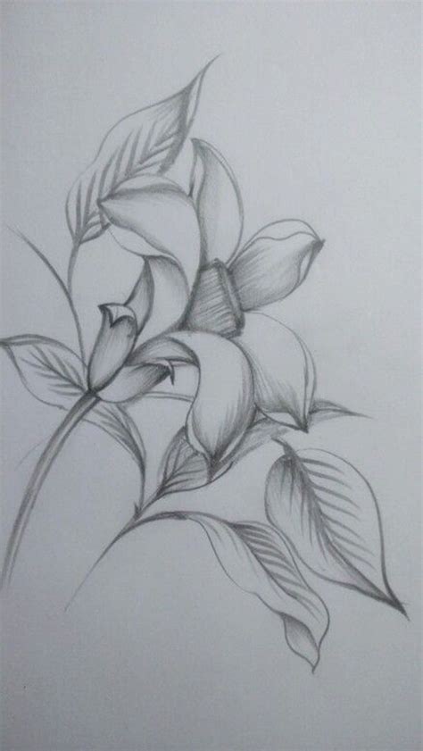 flower Art Drawing Sketches Simple - Antone Twohig