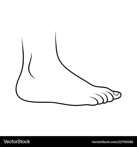 Foot Drawing Outline