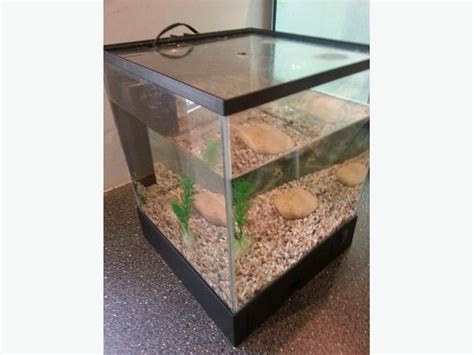 small cold water fish tank setup (no offers) Kingswinford, Dudley