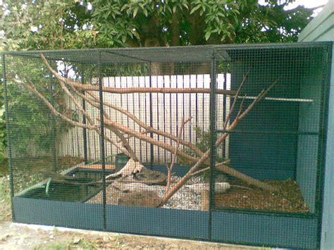 New Mertens Water Monitor Enclosure - Aussie Pythons & Snakes | Snake ...