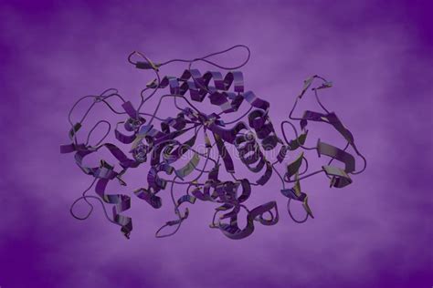 Crystal Structure of Human Pancreatic Alpha-amylase in Complex with the Mechanism Based ...