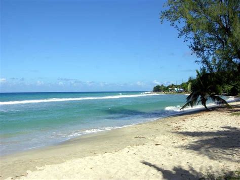 Cane Bay Beach | Us virgin islands, Virgin islands, Beautiful places in ...