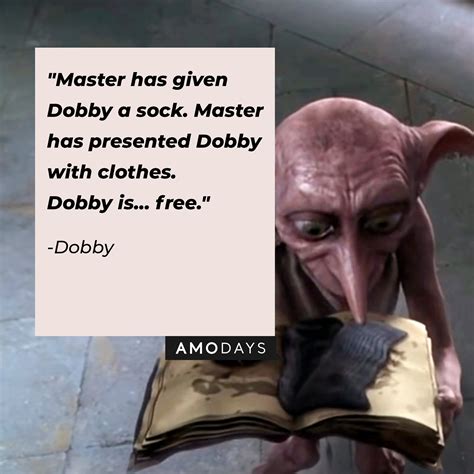 38 Dobby Quotes to Remind Us of Our Forever-Treasured Free Elf from ‘Harry Potter'