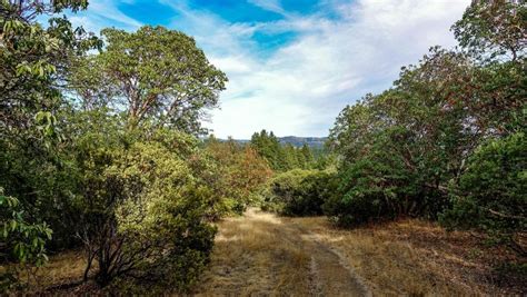 Lake Sonoma Trails – Healdsburg is Heavenly