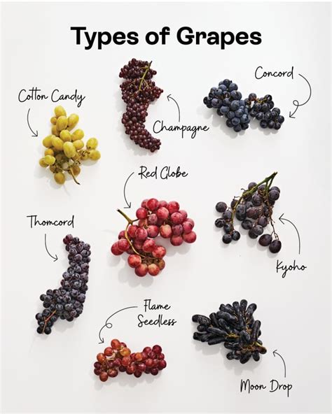 Types of Grapes | The Kitchn