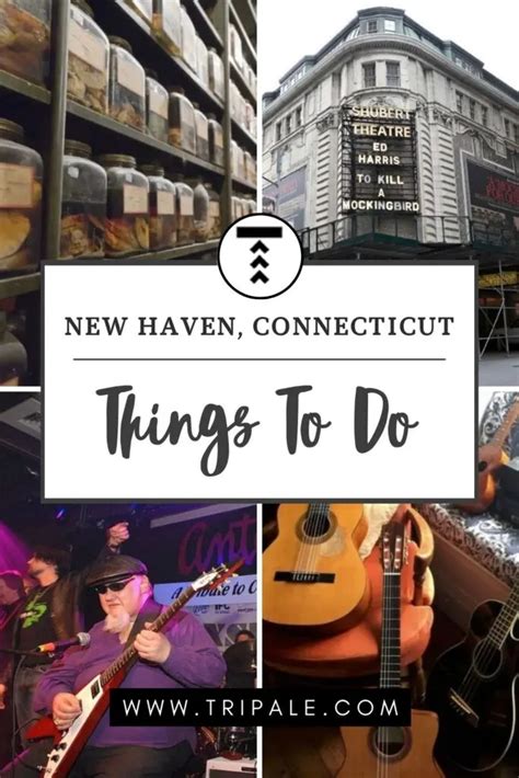 21 Most Fun Things To Do In New Haven, Connecticut