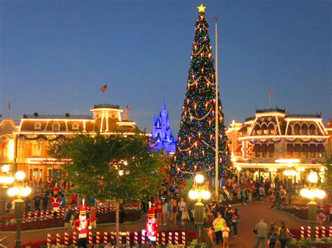 A Disney Winter Wonderland! | Wander