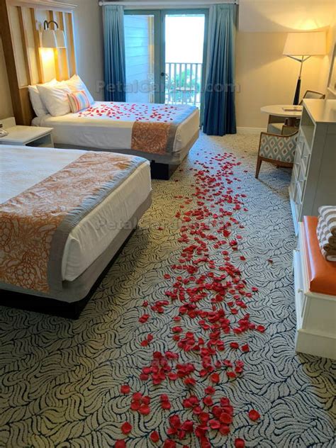 ++ 50 ++ rose petals on bed 239115-Rose petals on bed funny