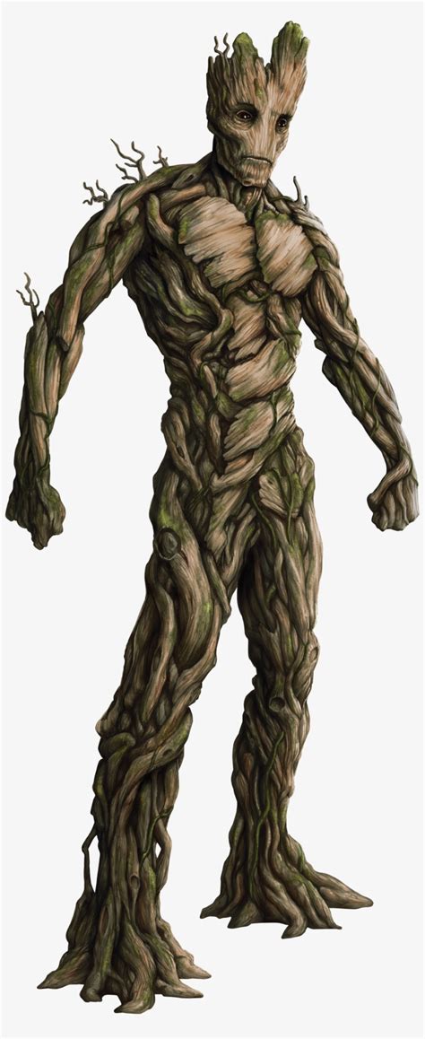 Groot Gg Fh - Guardians Of The Galaxy Characters Groot Transparent PNG - 1670x4000 - Free ...