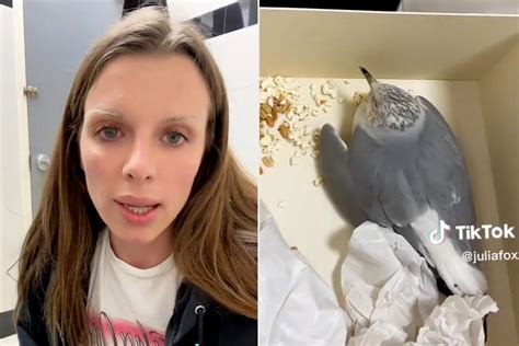 Julia Fox Asks TikTok Followers for Help Rescuing 'Panting' Seagull She Found - TrendRadars