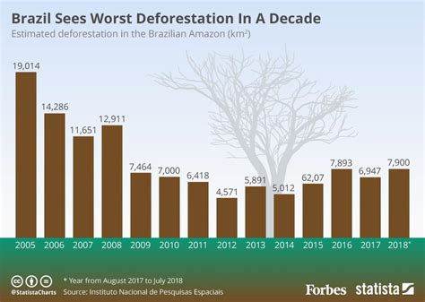 Brazil Sees Worst Deforestation In A Decade [Infographic]