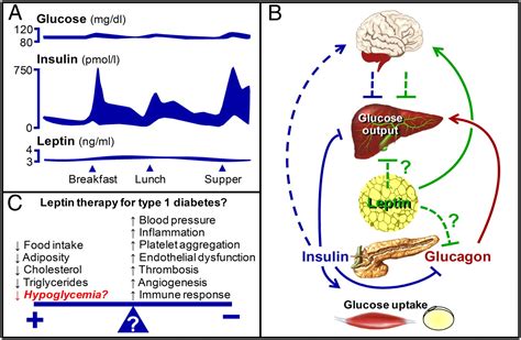 Jem Yeh: Magnesium Deficiency & Diabetes