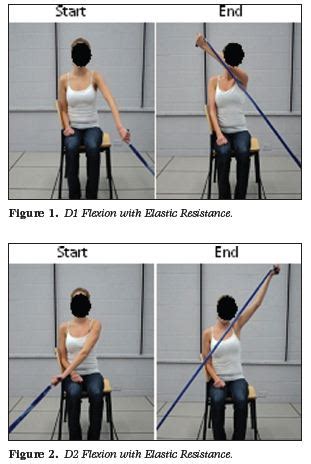 Shoulder Flexion D2 Extension